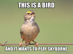 Common Opinion Sparrow