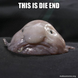 Blobfish