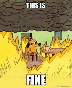 This Is Fine