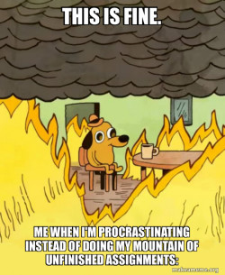 This Is Fine
