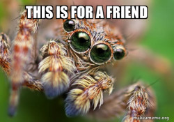 Hipster Spider