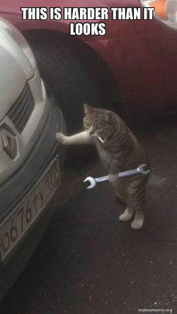 Mechanic Cat