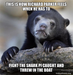 Confession Bear