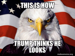 American Pride Eagle