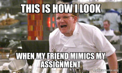 Gordon Ramsay Hell's Kitchen