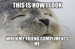 Satisfied Seal