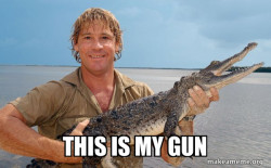 Steve irwin