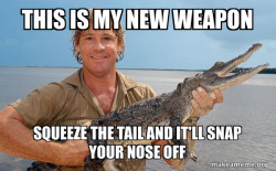 Steve irwin