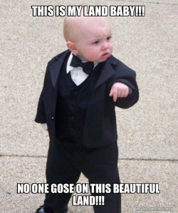 Godfather Baby