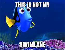 Dory from Nemo  (5 second memory)