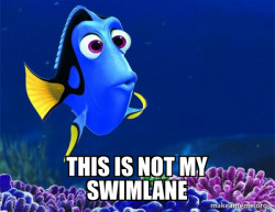 Dory from Nemo  (5 second memory)