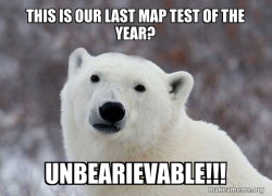 Popular Opinion Polar Bear