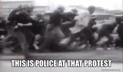 protest with cops