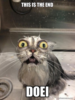 Cat bath