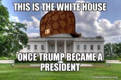 Scumbag Whitehouse