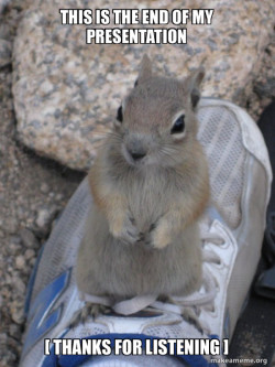 Standover Squirrel