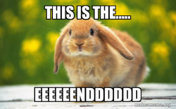 Regretful Rabbit