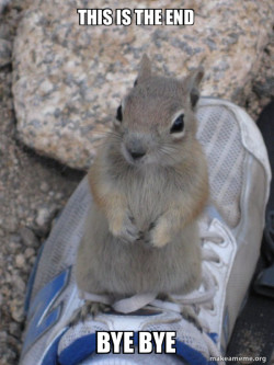 Standover Squirrel