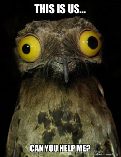 Weird Stuff I do Potoo