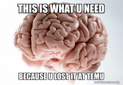 Scumbag Brain
