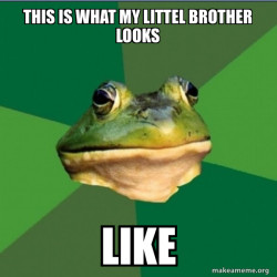 Foul Bachelor Frog