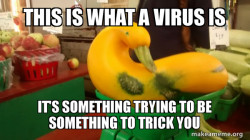 Gourd Advice Mallard