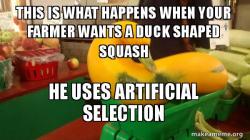 Gourd Advice Mallard