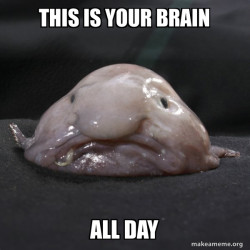 Blobfish