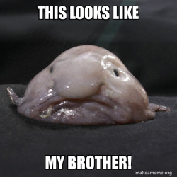 Blobfish