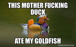 Fashionable Advice Mallard