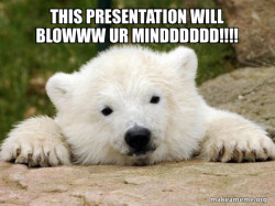 Popular Opinion Bear