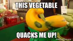 Gourd Advice Mallard
