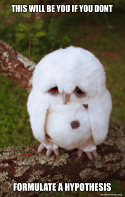 Sad Owl