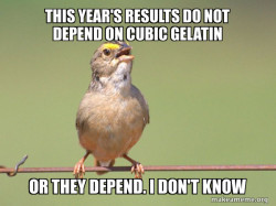 Common Opinion Sparrow