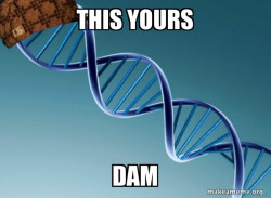 Scumbag Genetics