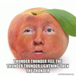 Impeached Donald Trump