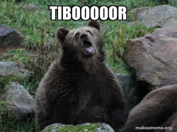 Sarcastic Bear