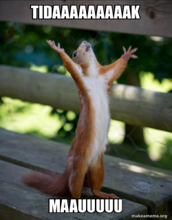 Happy Squirrel