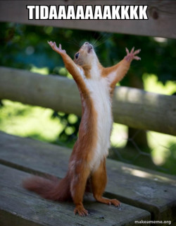 Happy Squirrel