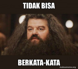 Hagrid - I should not have said that