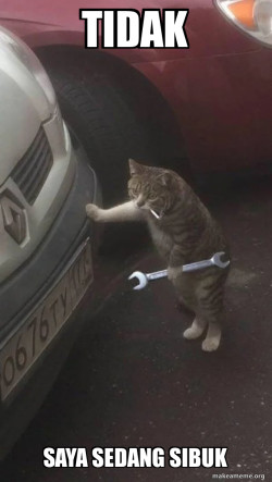 Mechanic Cat