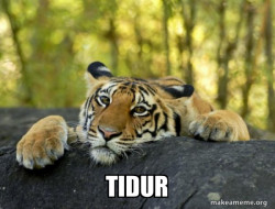 Confession Tiger