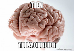 Scumbag Brain