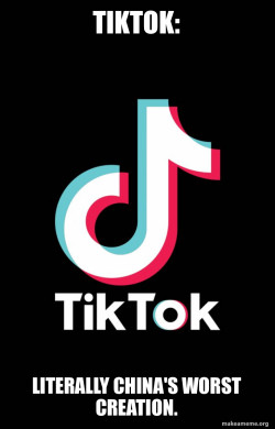 I Absolutely Hate TikTok