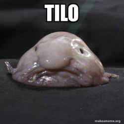 Blobfish