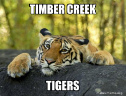 Confession Tiger