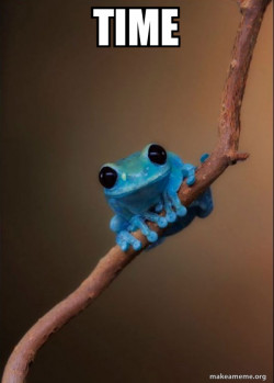 Small Fact Frog