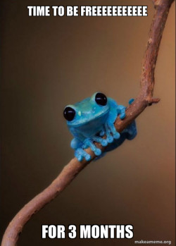 Small Fact Frog summer break