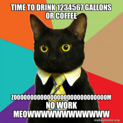 Business Cat
