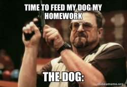 Am I the only one